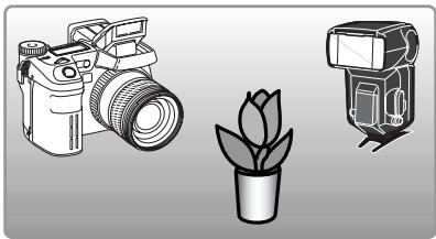 MINOLTA DIMAGE A2 - Flash détaché sans cordon - 4