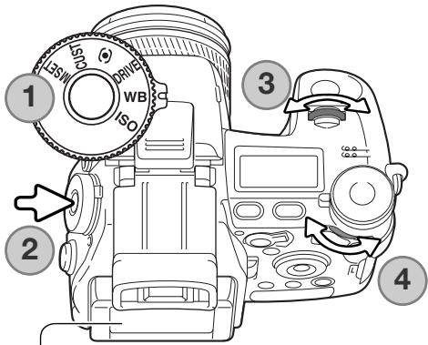 MINOLTA DIMAGE A2 - Balance des blancs - 1