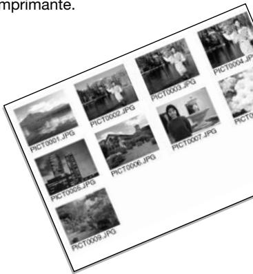 MINOLTA DIMAGE A2 - Impression d'un index - 1