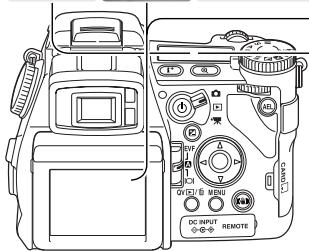 MINOLTA DIMAGE A2 - Définition et qualité d'image - 1