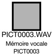 MINOLTA DIMAGE A2 - Organisation des dossiers de la carte mémoire - 9