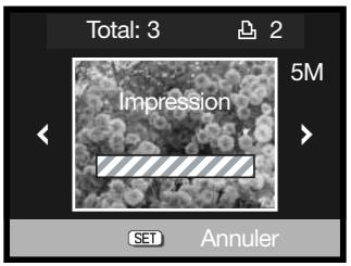 MINOLTA DIMAGE G530 - Pictbridge - 8