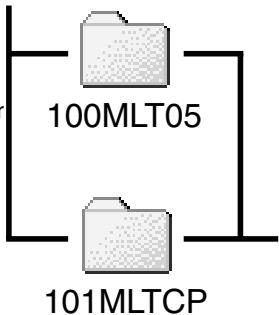 MINOLTA DIMAGE S304 - Organisation des dossiers de la CARTE compact FLASH - 2