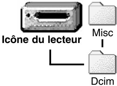 MINOLTA DIMAGE S304 - Organisation des dossiers de la CARTE compact FLASH - 1