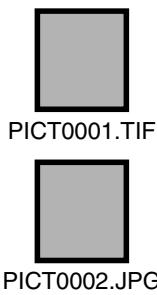 MINOLTA DIMAGE S304 - Organisation des dossiers de la CARTE compact FLASH - 3
