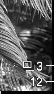MINOLTA DIMAGE Z1 - Notes sur l'entraînement progressif - 6