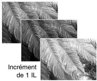 MINOLTA DIMAGE Z1 - Notes sur l'entraînement progressif - 9