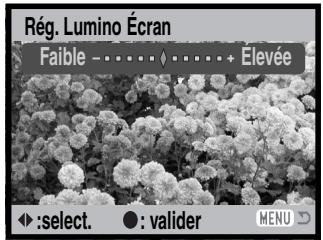 MINOLTA DIMAGE Z1 - Réglage de la luminosité de l'écran - 5