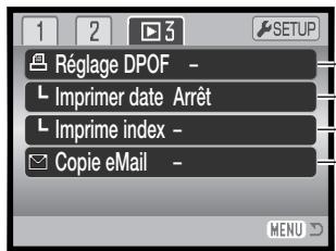 MINOLTA DIMAGE Z20 - Navigation dans le menu du mode lecture - 10
