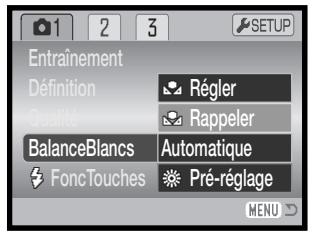 MINOLTA DIMAGE Z20 - Balance des blancs personnalisé - 2