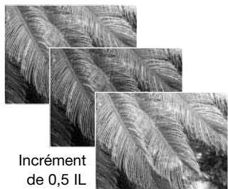 MINOLTA DIMAGE Z20 - Utilisation du mode d'entraînement progressif - 7
