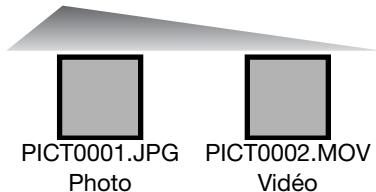 MINOLTA DIMAGE Z20 - Organisation des dossiers - 2
