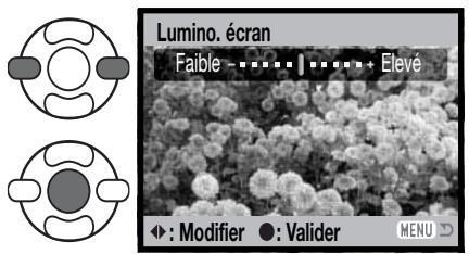 MINOLTA DIMAGE Z20 - Luminosité de l'écran ACL - 2