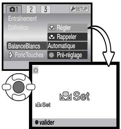 MINOLTA DIMAGE Z20 - Balance des blancs personnalisé - 1