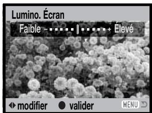 MINOLTA DIMAGE Z20 - Réglage de la luminosité de l'écran - 3