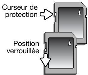 MINOLTA DIMAGE Z20 - Cartes mémoire - 1