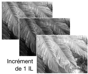 MINOLTA DIMAGE Z3 - Notes sur l'entraînement progressif - 9