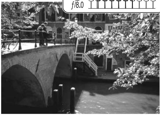 MINOLTA DIMAGE Z3 - PETIT GUIDE d'introduction à la photographie - 2