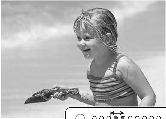 MINOLTA DIMAGE Z3 - PETIT GUIDE d'introduction à la photographie - 1