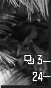 MINOLTA DIMAGE Z3 - Notes sur l'entraînement progressif - 6