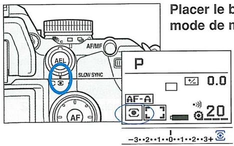 MINOLTA MAXXUM 7 - Mesure sur 14 zones en nid d'abeilles - 2