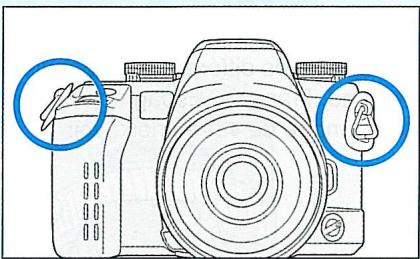 MINOLTA MAXXUM 7 - DE BASE - 1