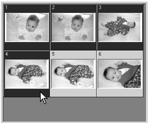 MINOLTA DIMAGE SCAN DUAL IV - Sélection d'imagettes de l'index - 1