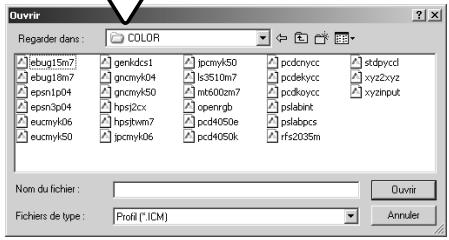 MINOLTA DIMAGE SCAN DUAL IV - Réglage de profil d'écran ICC - 2