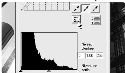 MINOLTA DIMAGE SCAN ELITE 5400 II - Correction par points blanc, gris et noir - 5