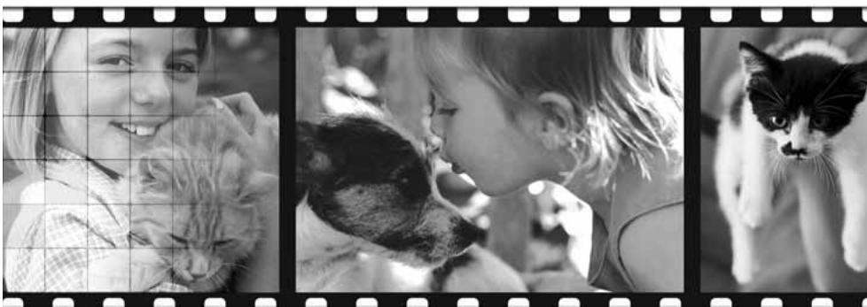 MINOLTA DIMAGE SCAN ELITE 5400 II - 4