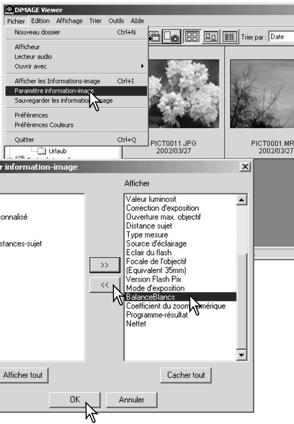 MINOLTA DIMAGE VIEWER 2.1 - Réglage des informations des images - 1