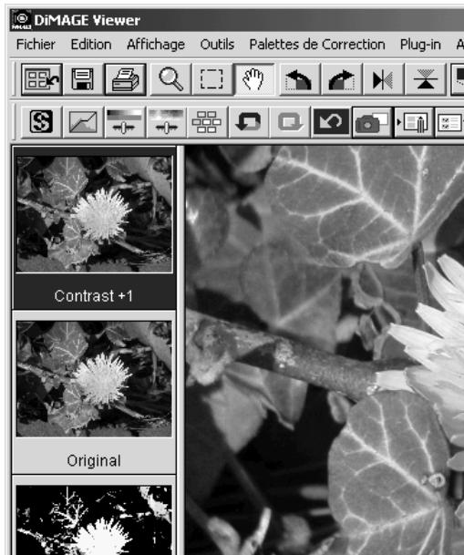 MINOLTA DIMAGE VIEWER 2.1 - Charger les scripts de correction d'image - 2