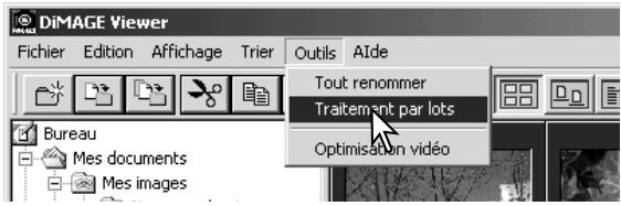 MINOLTA DIMAGE VIEWER 2.1 - Traitement par lot - 1