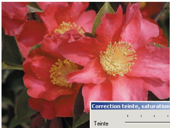 MINOLTA DIMAGE VIEWER 2.1 - Correction de teinte - 1
