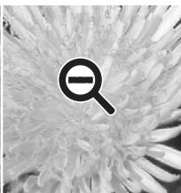 MINOLTA DIMAGE VIEWER 2.1 - Outil Zoom - 3