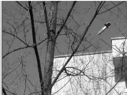 MINOLTA DIMAGE VIEWER 2.1 - Corrections par "Point blanc", "Point noir", et "Point gris" - 4
