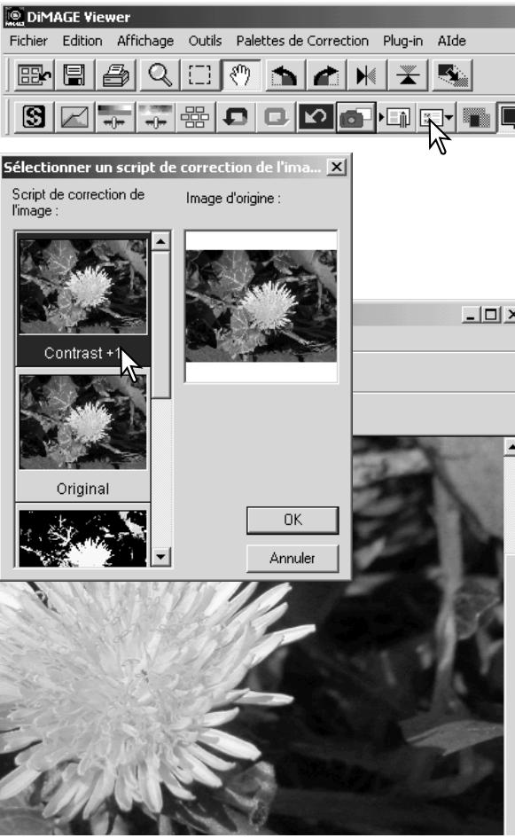 MINOLTA DIMAGE VIEWER 2.1 - Charger les scripts de correction d'image - 3
