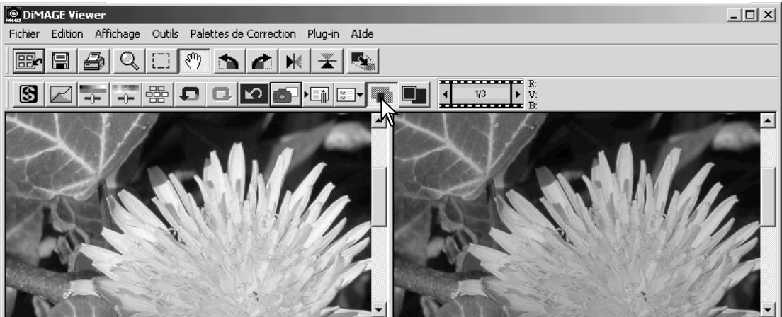 MINOLTA DIMAGE VIEWER 2.1 - Comparaison entre les images avant et après correction - 2