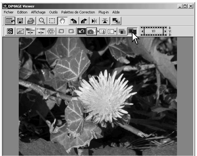 MINOLTA DIMAGE VIEWER 2.1 - Bouton "Image entière" - 2