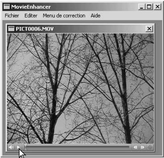 MINOLTA DIMAGE VIEWER 2.1 - Traitement par lot - 4
