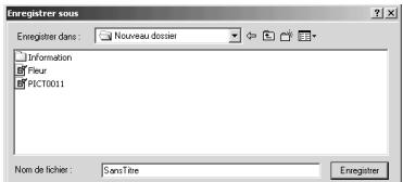 MINOLTA DIMAGE VIEWER 2.1 - Enregistrer une partie d'image - délimitation de zone - 3