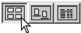 MINOLTA DIMAGE VIEWER 2.1 - Modification du format d'affichage - 2