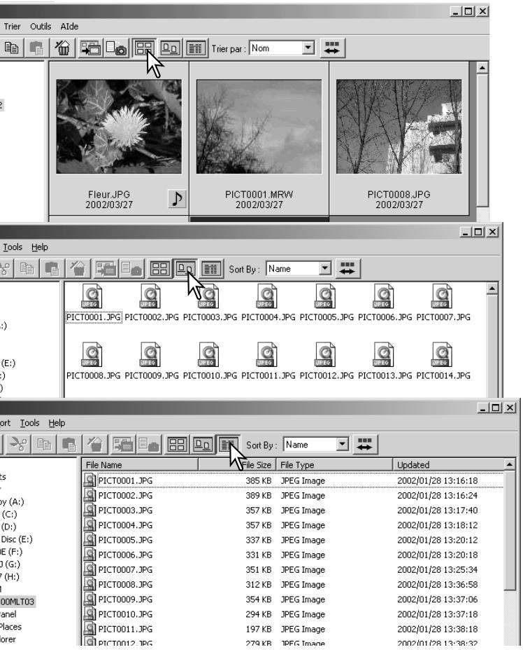 MINOLTA DIMAGE VIEWER 2.1 - Modification du format d'affichage - 1