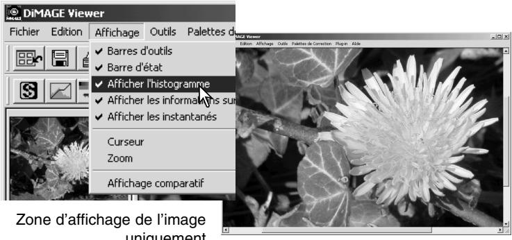 MINOLTA DIMAGE VIEWER 2.1 - Fenêtre de correction d'image - 2
