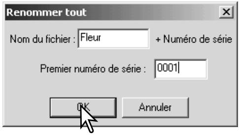MINOLTA DIMAGE VIEWER 2.1 - Renommer les fichiers multiples - 2
