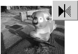 MINOLTA DIMAGE VIEWER 2.1 - DiIMAGE Viewer - 5