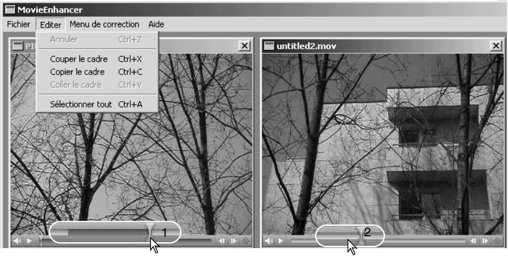 MINOLTA DIMAGE VIEWER 2.1 - Copier une série video sur une autre - 1