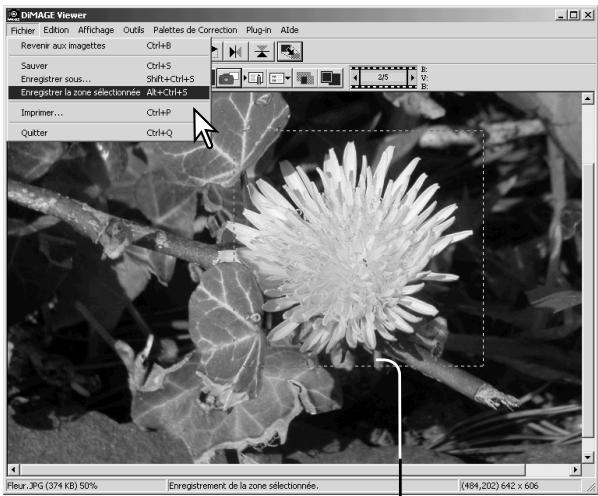 MINOLTA DIMAGE VIEWER 2.1 - Enregistrer une partie d'image - délimitation de zone - 2