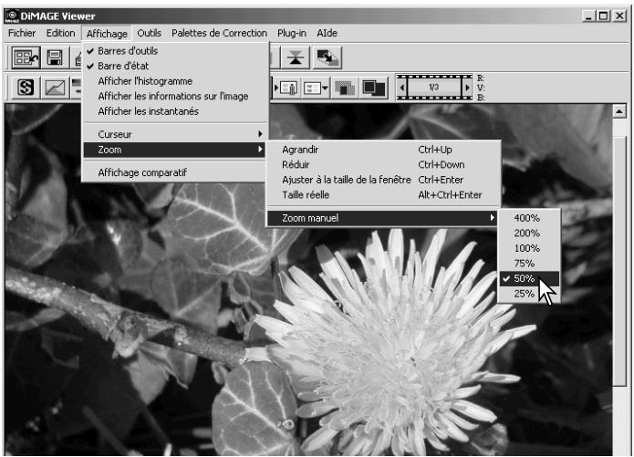 MINOLTA DIMAGE VIEWER 2.1 - Menu Options - 1