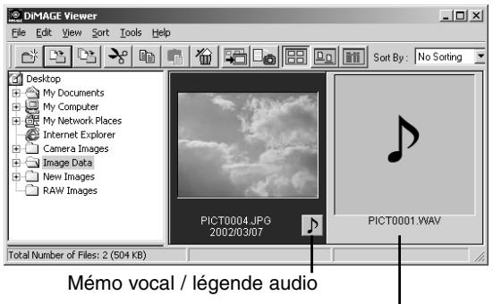MINOLTA DIMAGE VIEWER 2.1 - Ouverture des fichiers audio - 1